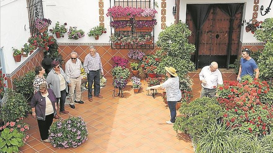 Patios de Bodega registra récord de visitas gracias a sus nuevas propuestas