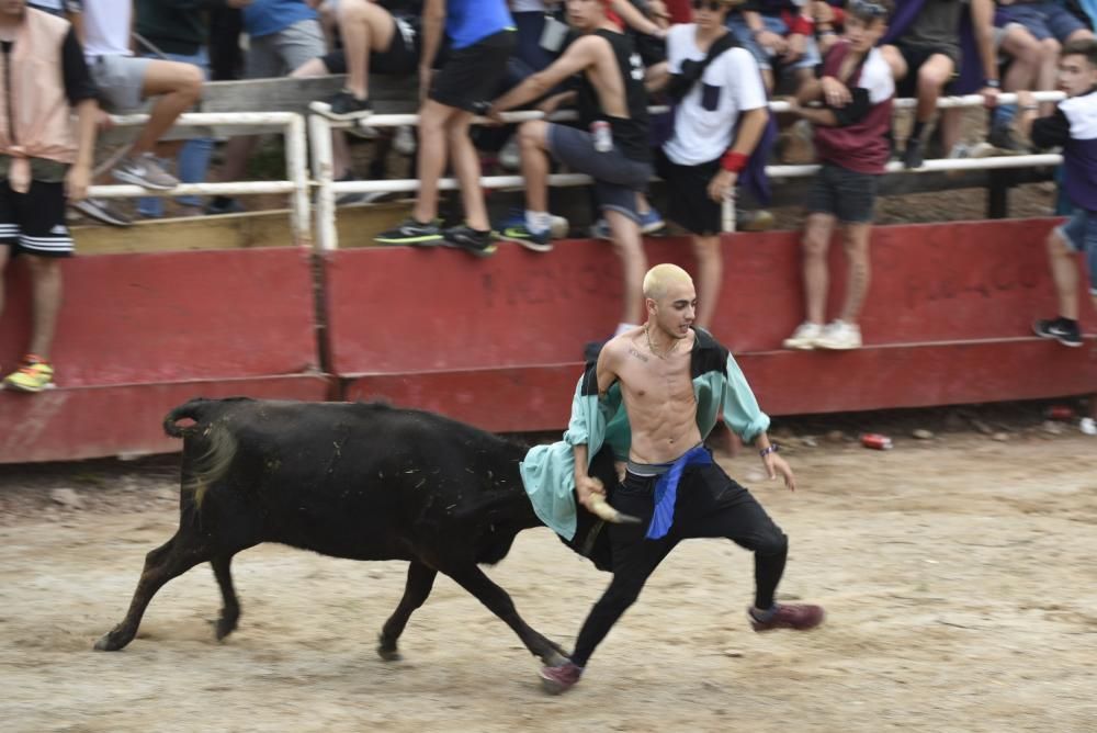 Vaquetes de Santpedor 2018