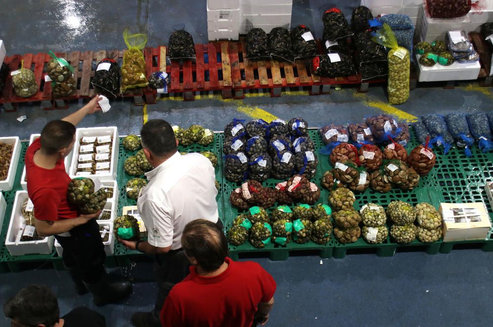 Así es un día de trabajo en la pescadería de Mercamálaga