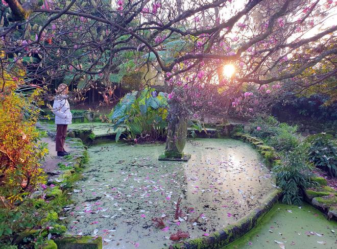 Los jardines del Pazo Quiñones de León lucen espléndidos estos días