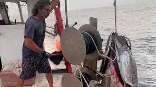 Pescadores de Capdepera capturan un atún de más de 240 kilos