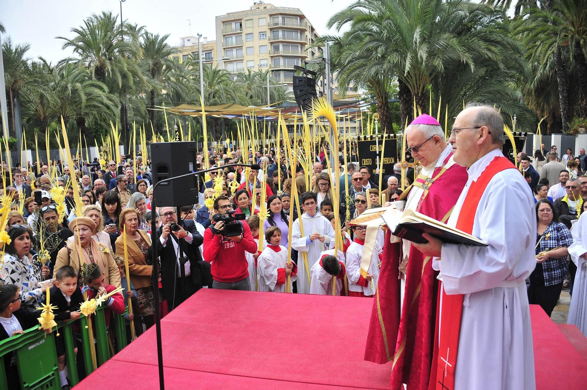 Miles de palmas blancas llenan Elche de tradición