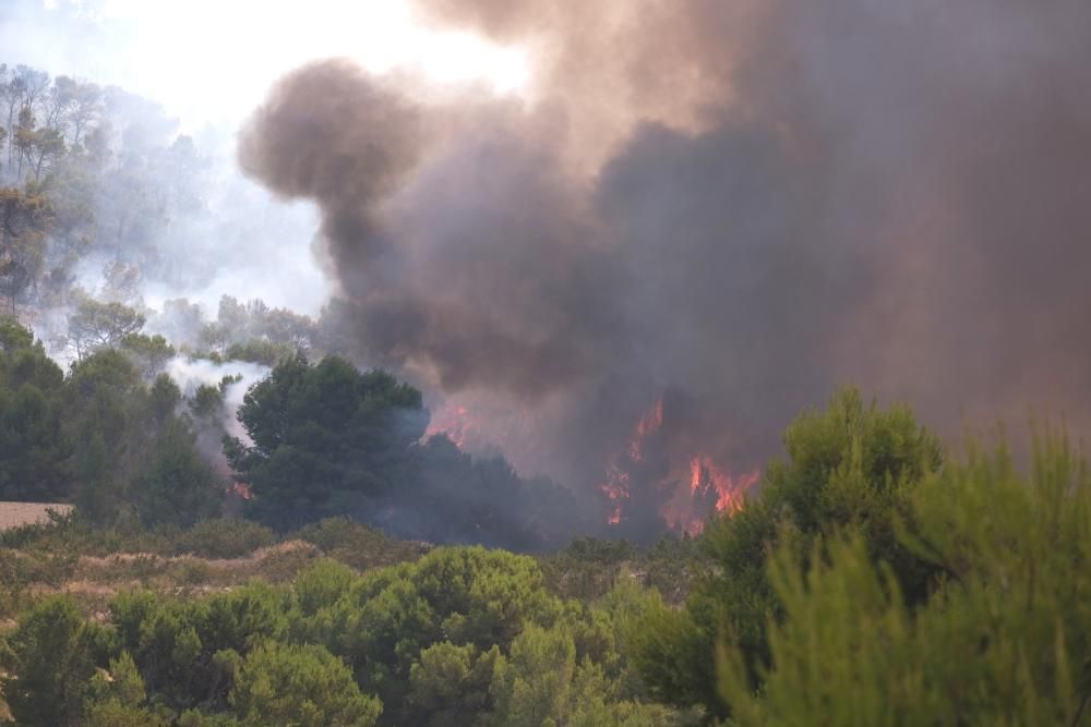 El fuego se ha originado al mediodía en la pedanía de La Romaneta y amenaza con extenderse por el monte y afectar a varias casas de campo.