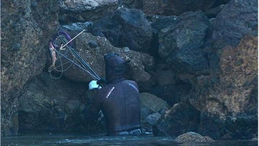 Un submarinista trata de salir del agua tras capturar un pez.