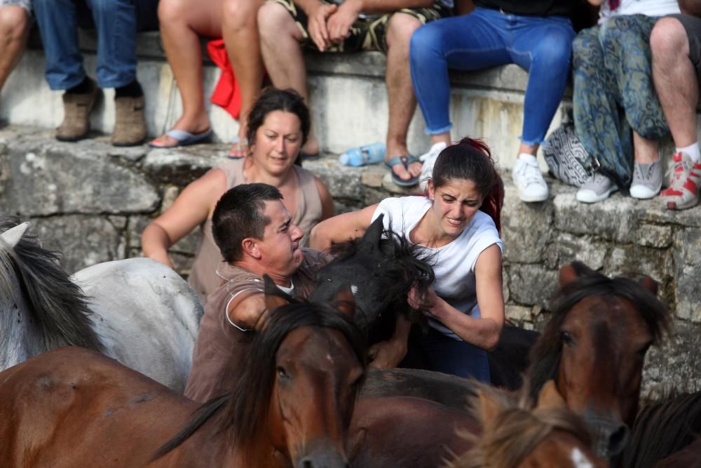 Sabucedo exhibe bravura en su Rapa das Bestas