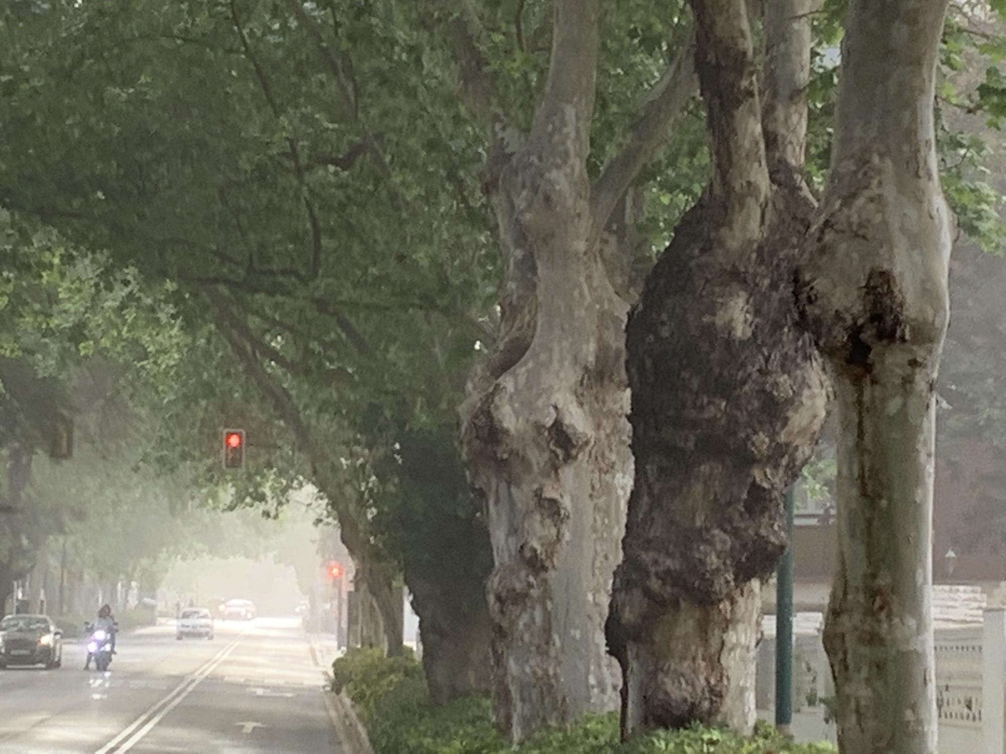 Málaga amanece cubierta de niebla