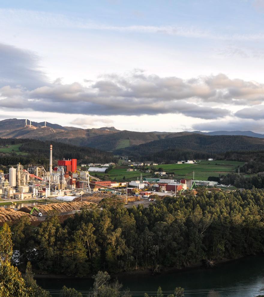Ence, vector de descarbonización en Asturias