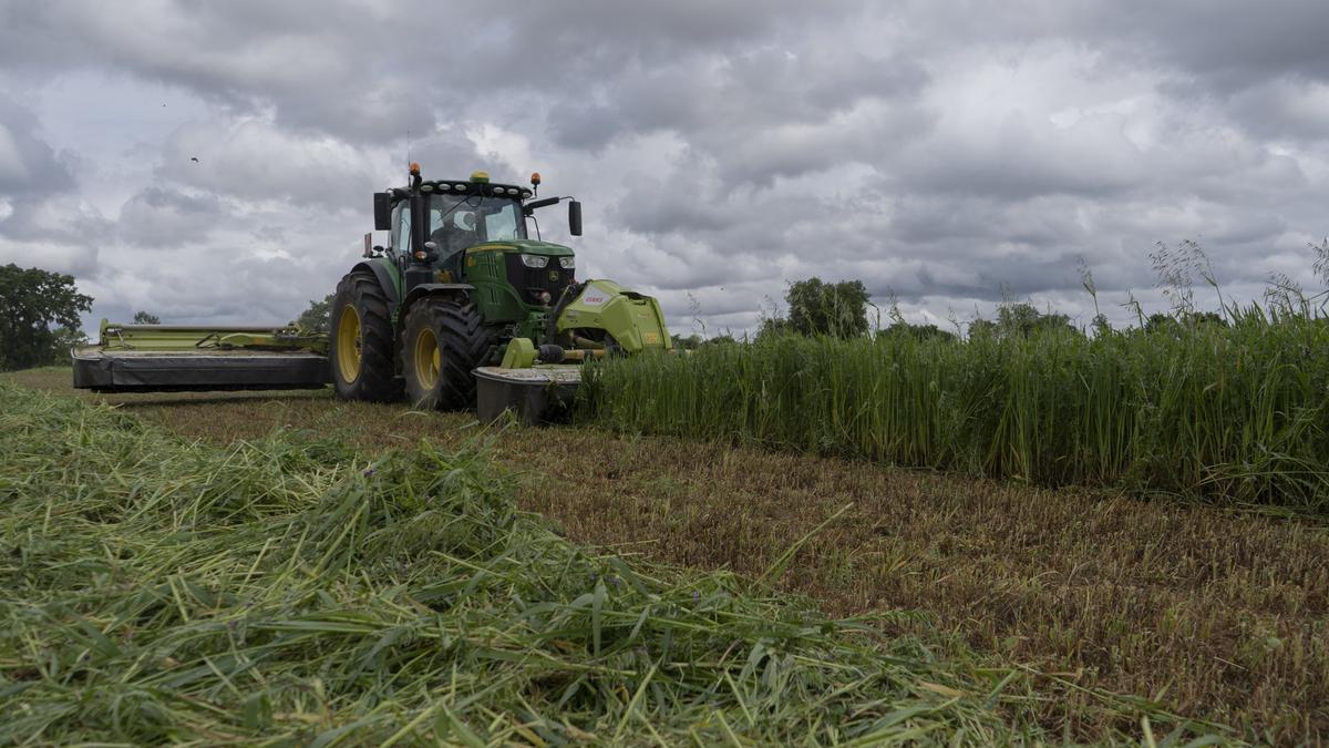 Labores agrícolas en una tierra durante la pandemia