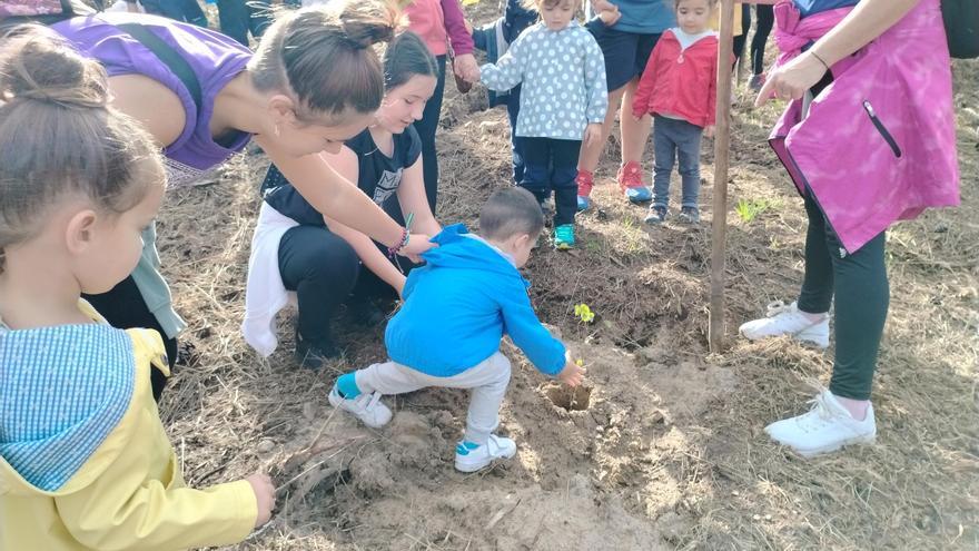 Sembrar para recoger: el colegio público Ramón Muñoz de Luarca enseña a los alumnos a cuidar los montes