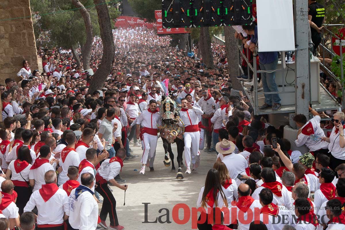 Así ha sido la carrera de los Caballos del Vino en Caravaca