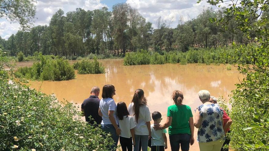 Un grupo de personas, ayer a la vera de la Laguna de El Pego. | Junta de Propietarios de Pinar