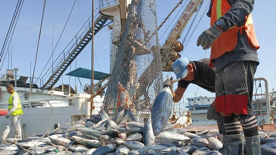 Conxemar «recluta» a Venezuela y tendrá un estand propio 53 años después de la primera World Fishing de Vigo