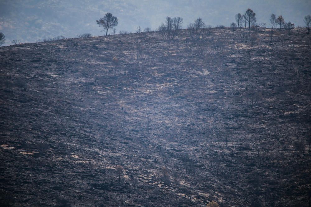 Imagen de la zona arrasada por el fuego en Pinet.