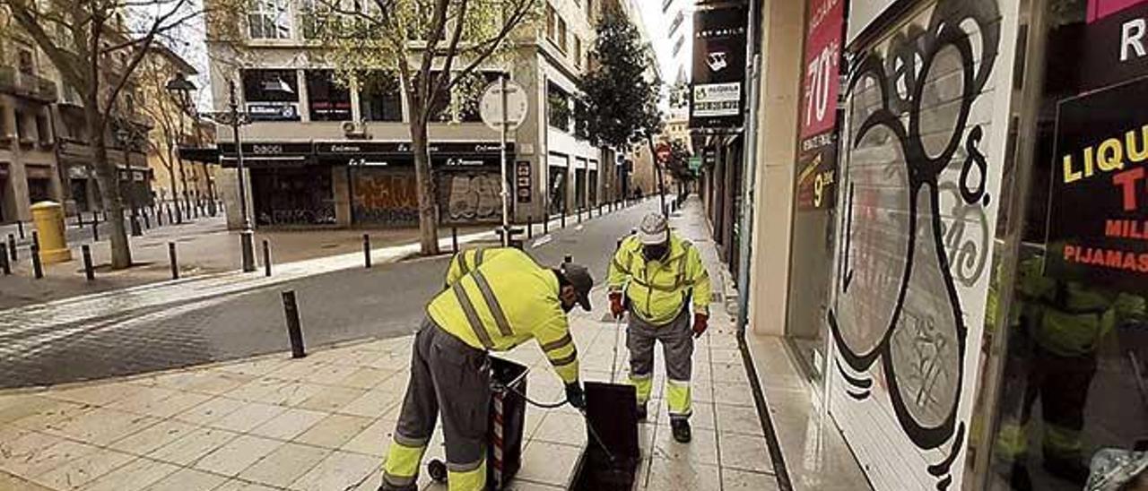 Operarios del servicio de plagas de Cort colocando ayer raticida en una alcantarilla de Sant Miquel.