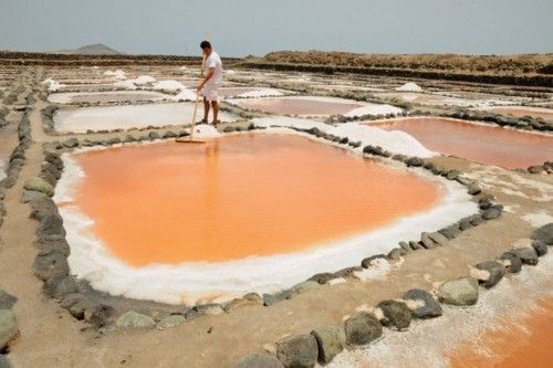 Reportaje en las Salinas de Tenefe en Pozo Izquierdo