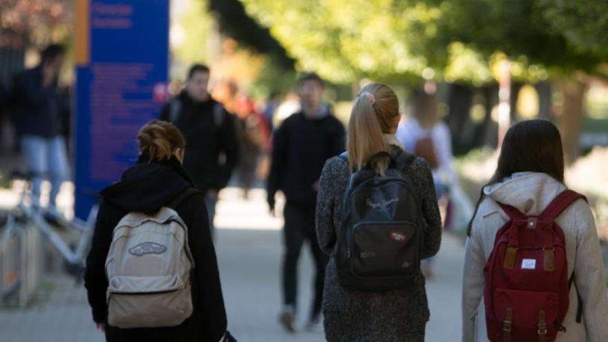 Estudiantes en el campus de la UA