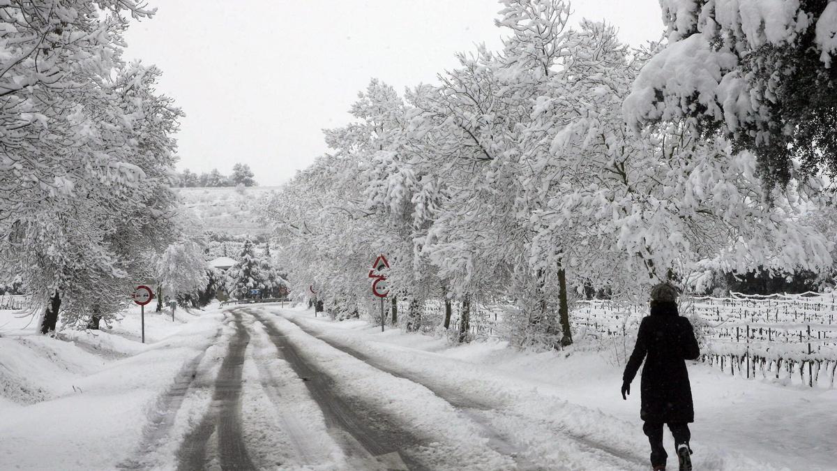 Ya hay fecha para el 'verdadero invierno'