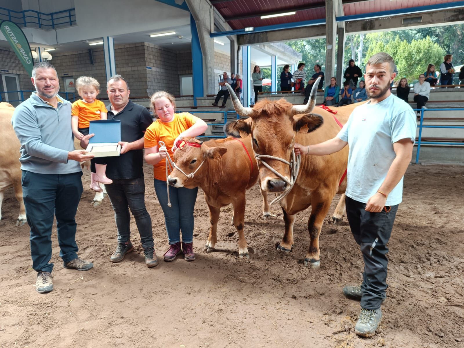 En imágenes: los premiados en la Muestra ganadera local de Cangas del Narcea