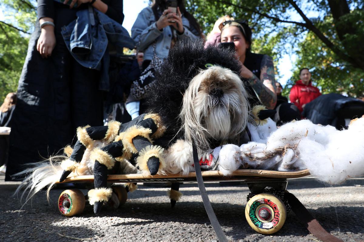 Desfile de disfraces de Halloween para perros en Nueva York