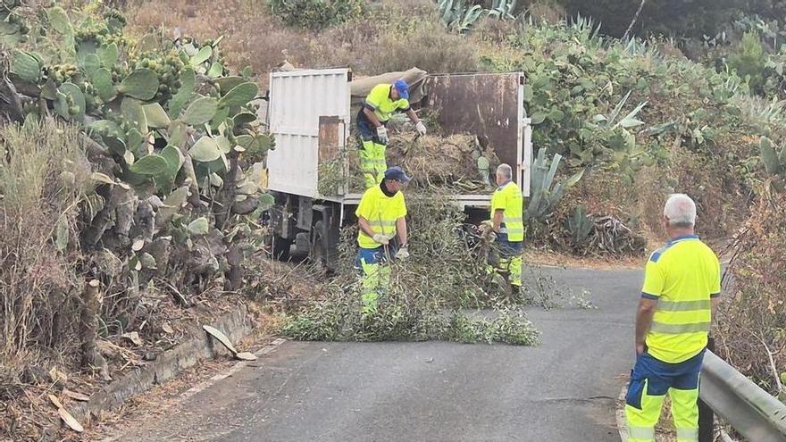 La Fase VI del Plan de Higiene Urbana supera los 20.000 kilos de residuos retirados tras sus primeros tres meses