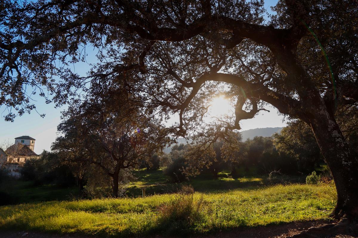 Senderos a Fondo. Ruta 4 (Cuesta Traición - Vereda Villar)