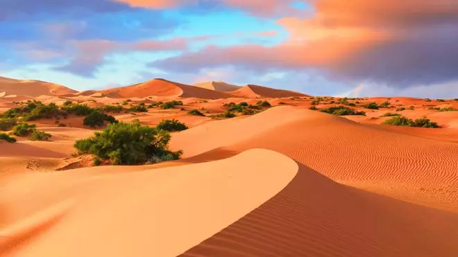 Esto no te lo habían contado: el desierto del Sáhara fue un oasis verde