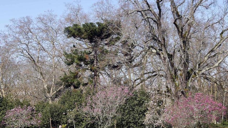 El cuidado de las zonas verdes de Vigo seguirá en las mismas manos durante cinco años más: luz verde a la adjudicación del «jugoso» concurso
