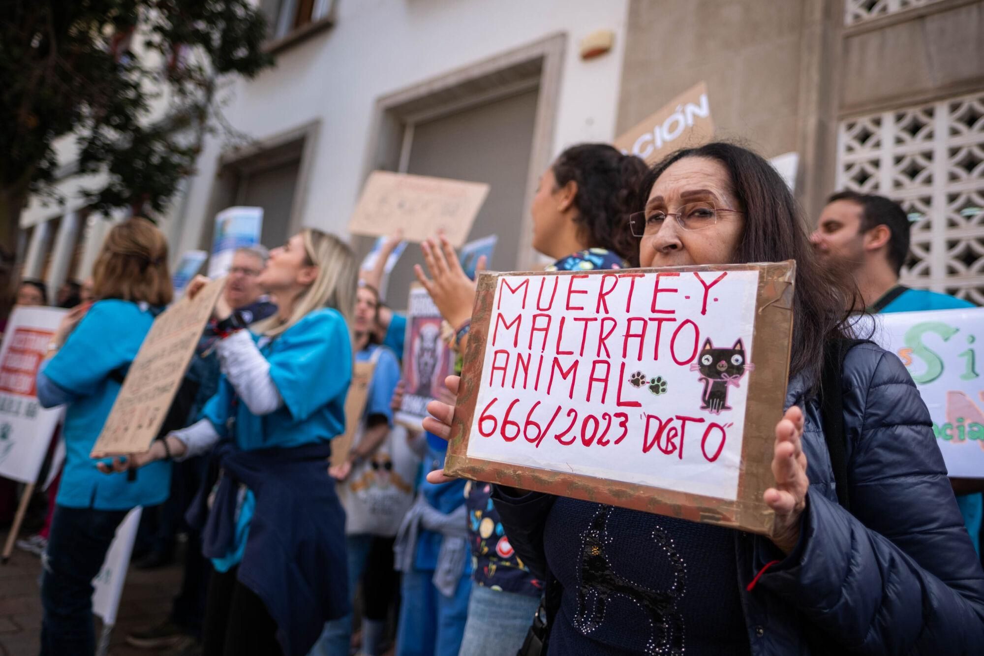Los veterinarios  de Tenerife se manifiestan contra el decreto que les impide suministrar antibióticos a las mascotas.