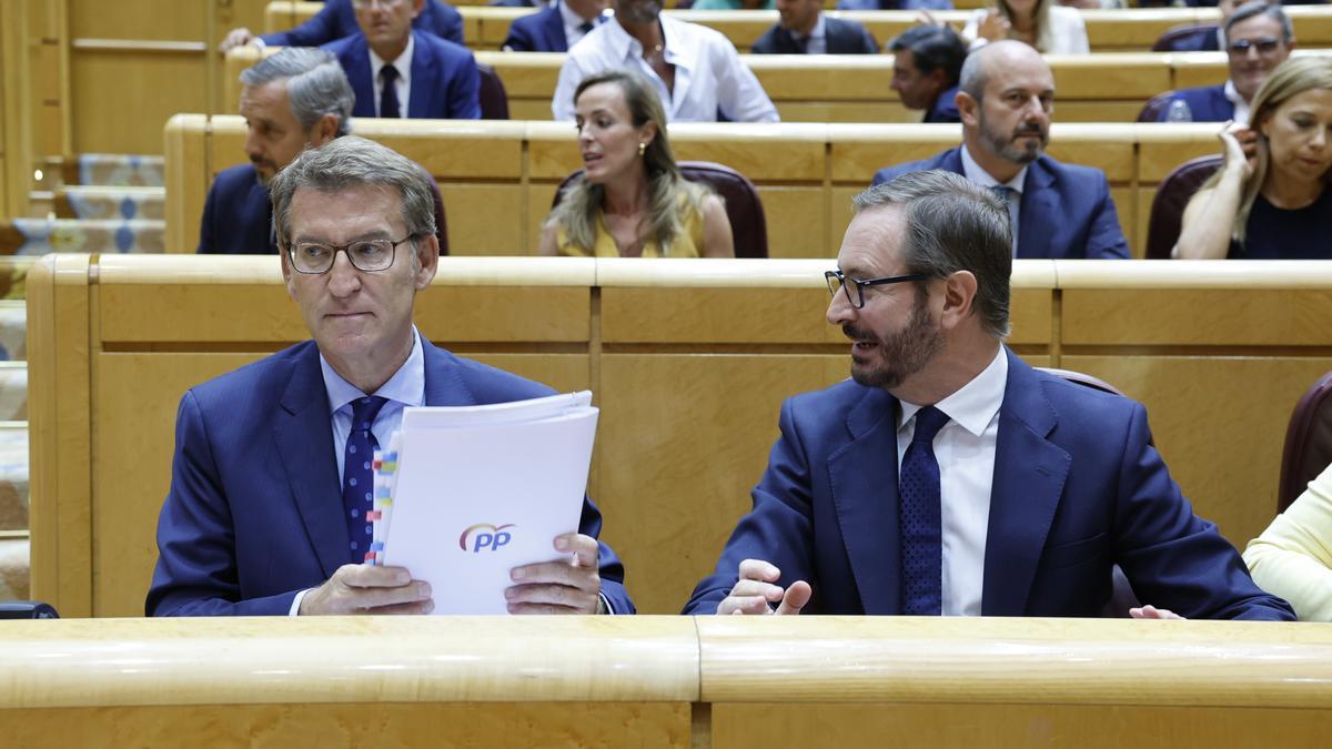 El líder del PP, Alberto Núñez Feijóo, al debat al Senat