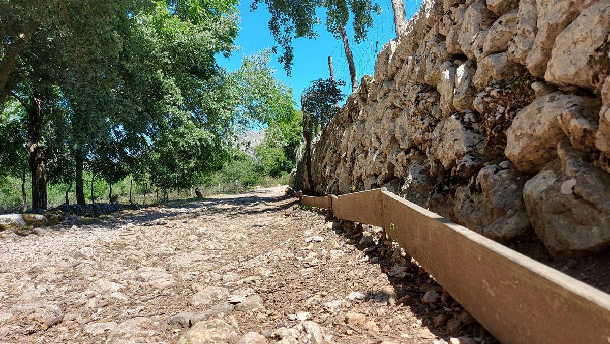 Wanderweg mit Holzplanke für Sehbehinderte. Hier sind wir streckenweise auf dem Tramuntana-Weitwanderweg GR 221 unterwegs. Wanderweg mit Holzplanke für Sehbehinderte. Hier sind wir streckenweise auf dem Tramuntana-Weitwanderweg GR 221 unterwegs.
