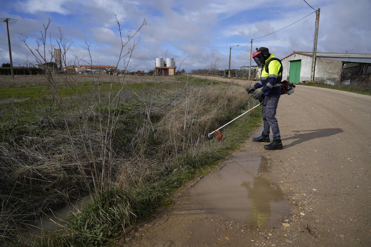 Casaseca de las Chanas modernizará sus jardines gracias al Programa Mixto