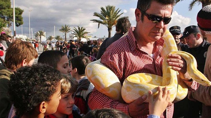 El dueño de una serpiente en la bendición de Sant Antoni, en una imagen de archivo.