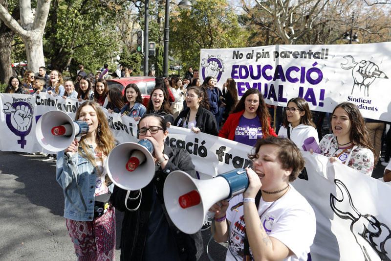 Manifestación de los estudiantes en Valencia contra el pin parental