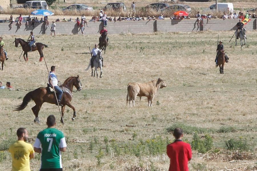 Fiestas en Zamora: Segudos espantes de Fuentesaúco