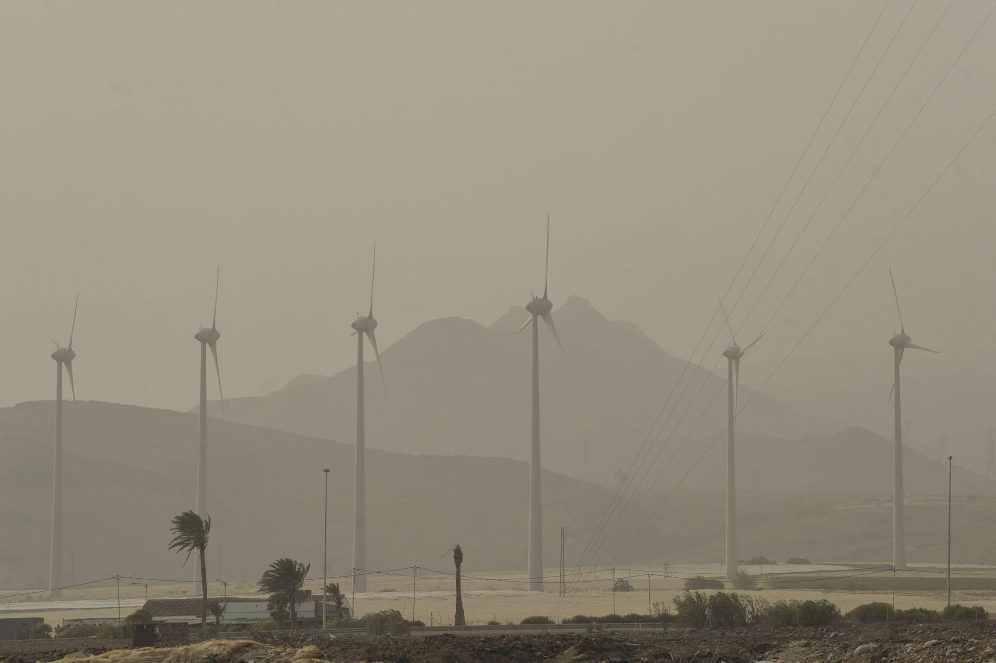 Riesgo de incendio en Gran Canaria por el fuerte calor (13/07/2021)