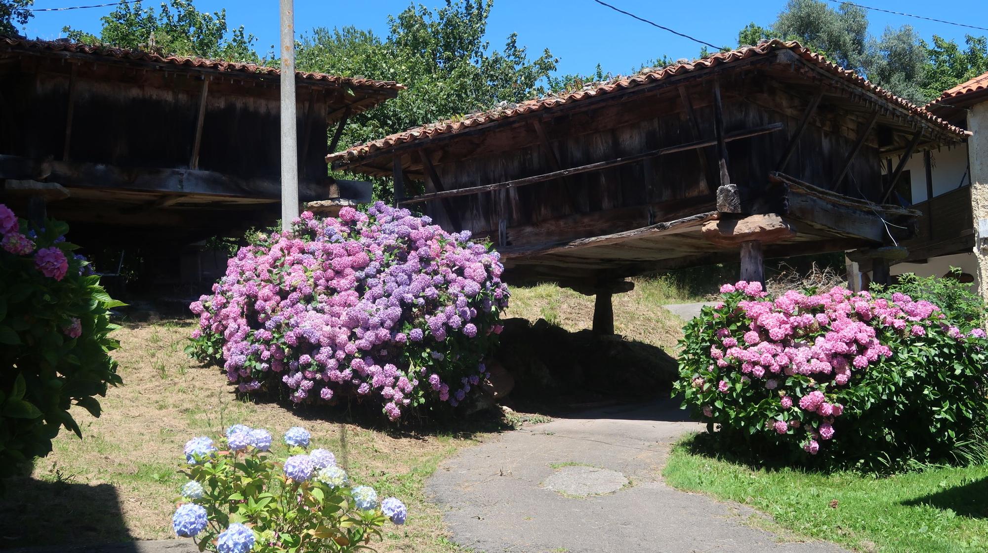 Descubre el paisaje etnográfico y románico de Villaviciosa