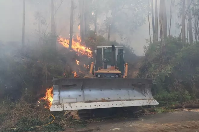 Espectacular incendio forestal en Meaño