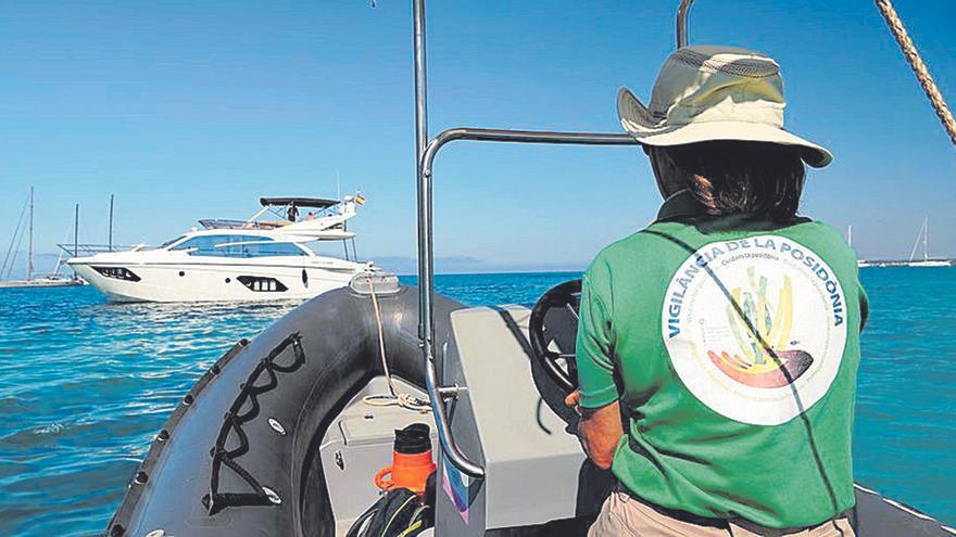 Seis embarcaciones vigilarán para evitar el fondeo sobre posidonia en Mallorca