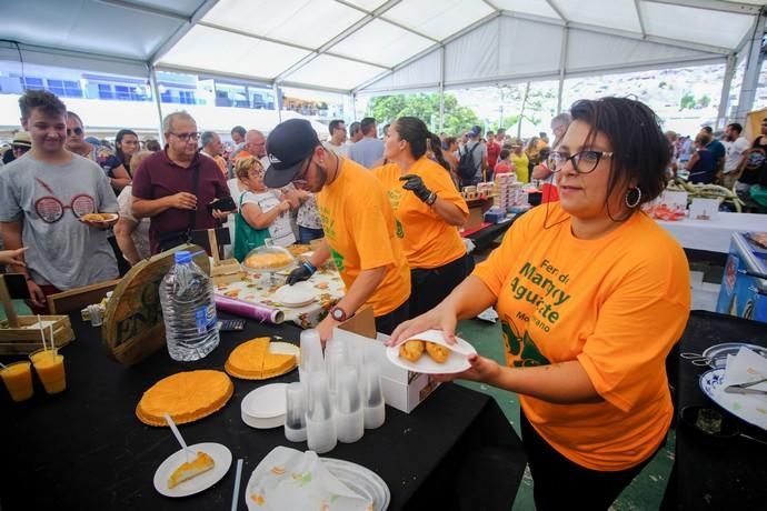 Mogán. Feria del Mango y Aguacate  | 01/09/2019 | Fotógrafo: José Carlos Guerra