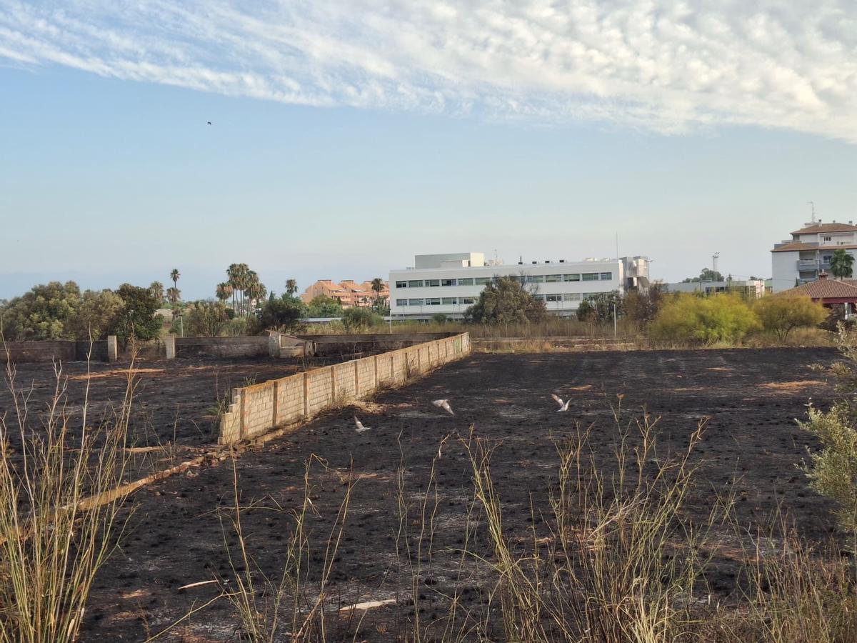 Terrenos calcinados y, al fondo, el hospital privado