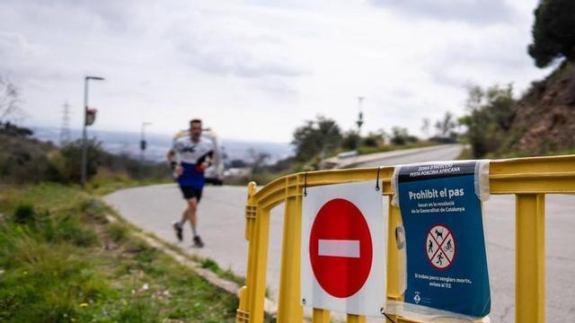 Tanques per tancar l’accés al parc de Collserola, on es  van trobar senglars morts per la pesta porcina africana.