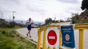Vallas para cerrar el acceso al parque de Collserola, donde se han hallado jabalíes muertos por la peste porcina africana.