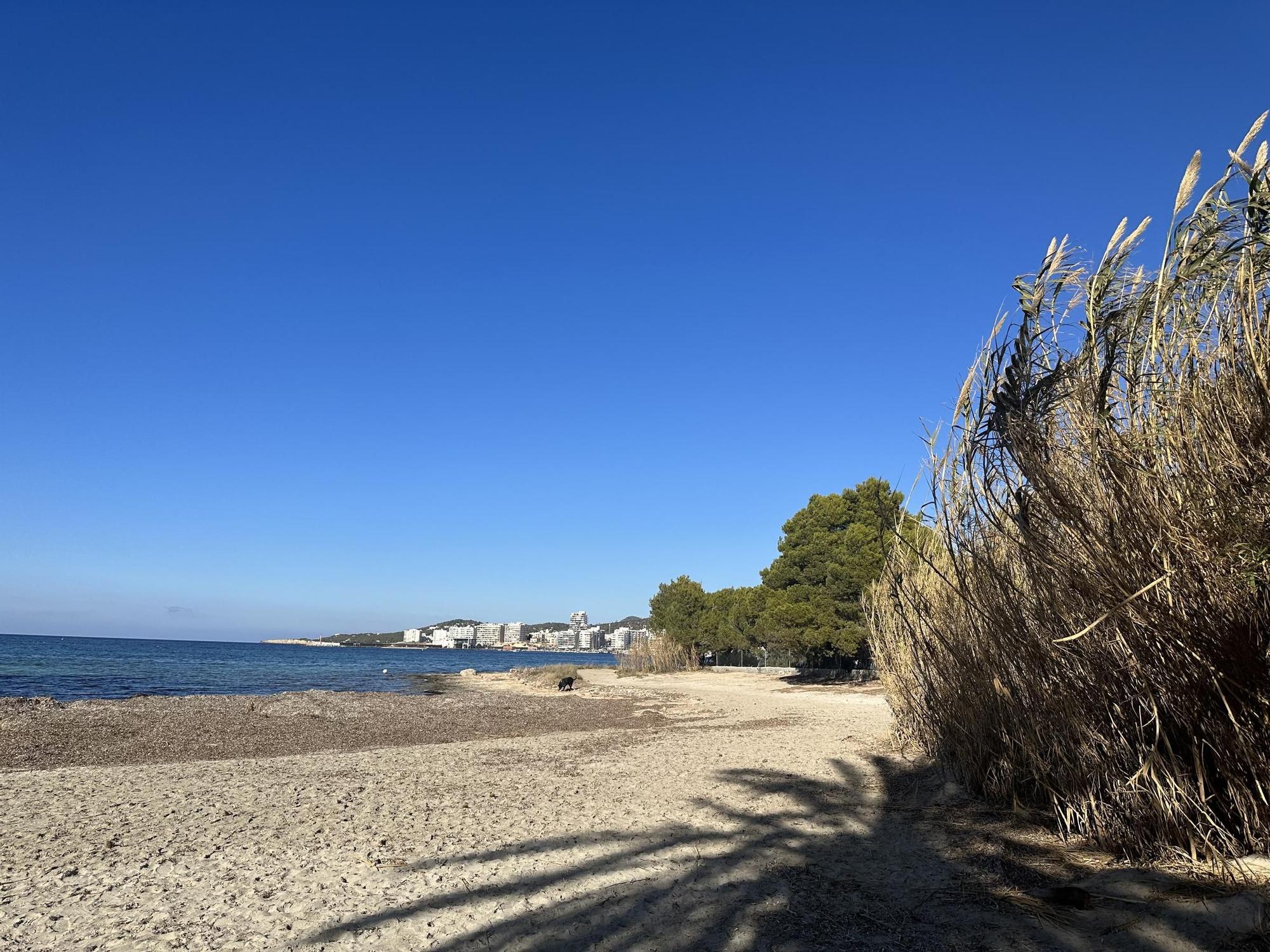 Así es la zona a la que renuncia Sant Josep por medio millón de euros