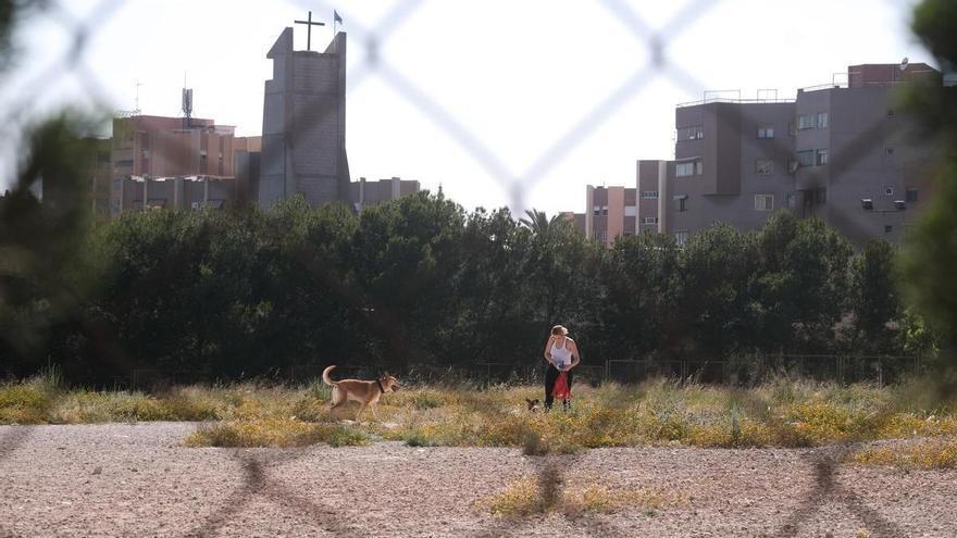 Parques caninos &quot;clandestinos&quot; ante la necesidad de más espacios públicos en Alicante