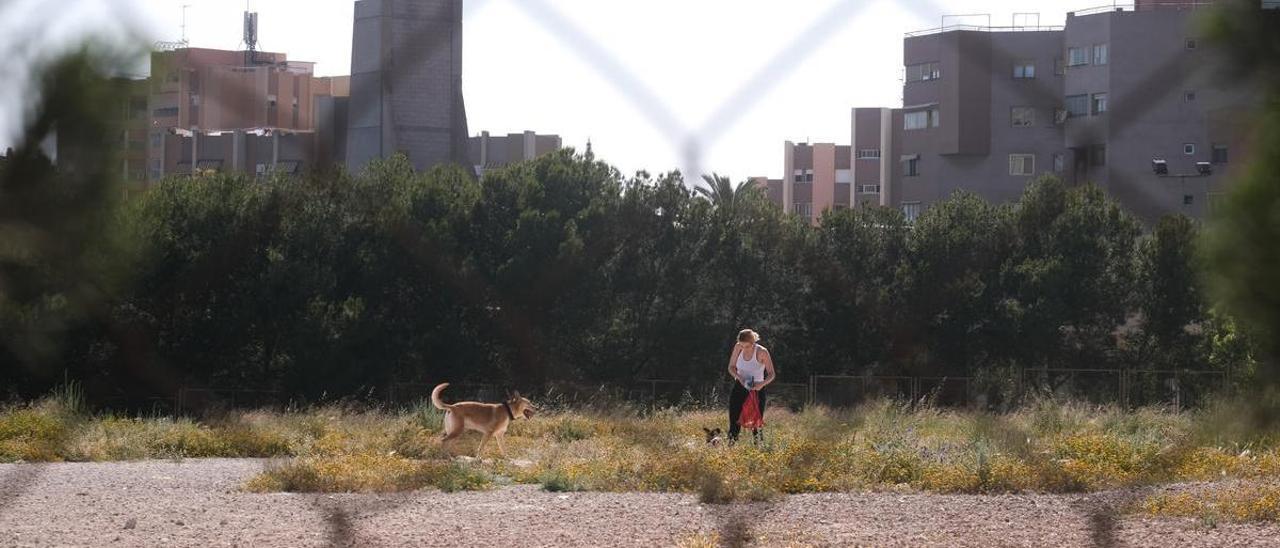 Dueños de perros aprovechan descampados urbanos para soltar a sus perros ante la falta de espacios públicos para mascotas