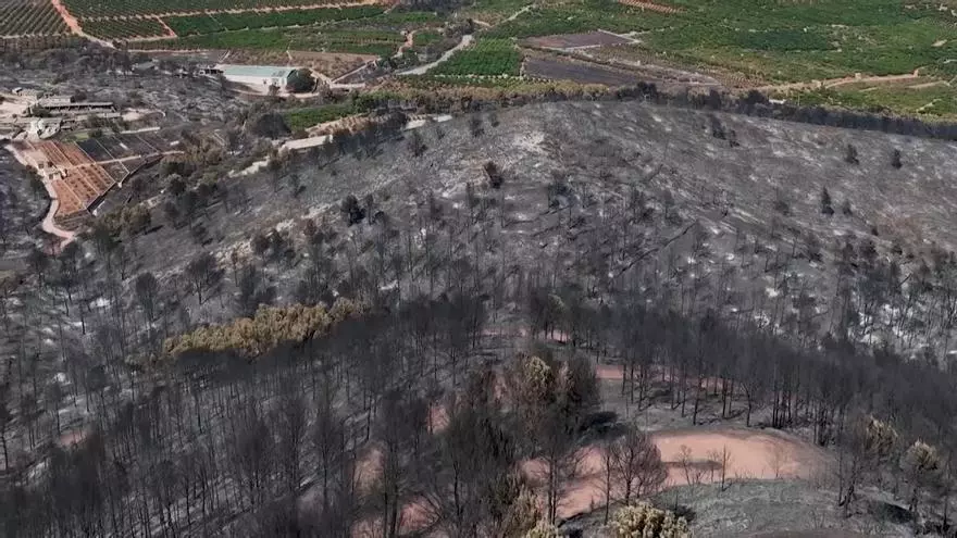 Imágenes aéreas muestran la devastación causada por los incendios en Castellón