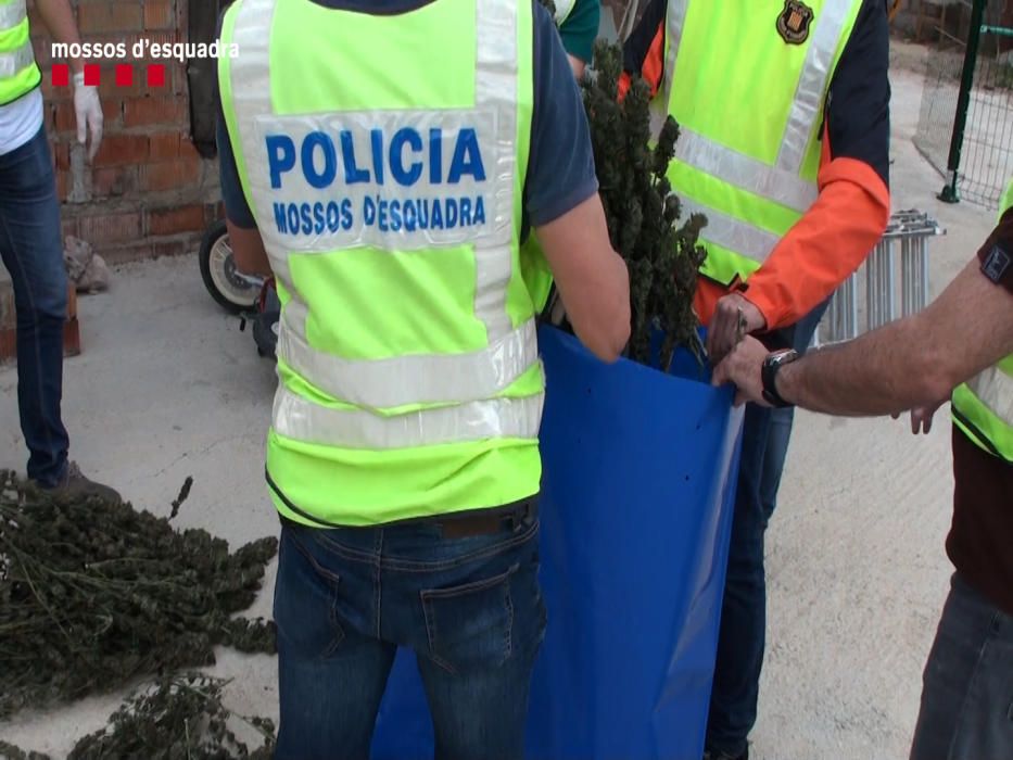 Cau una organització criminal dedicada a robar vehicles per encàrrec