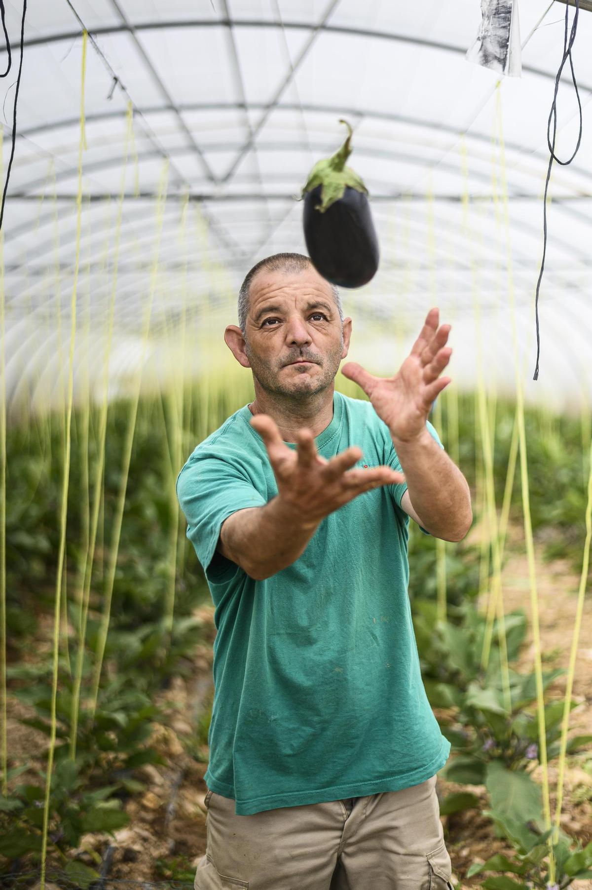 Gardeniers trabaja en la inserción de personas con discapacidad intelectual mediante el cultivo y la transformación de productos de su huerta en el obrador propio de conservas ecológicas.