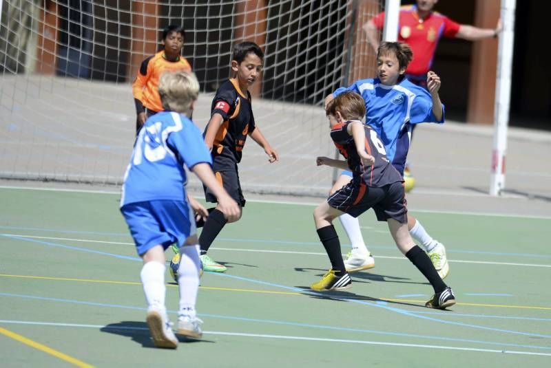 FÚTBOL: Rosa Molas - Pirineos B (Benjamin Superserie)