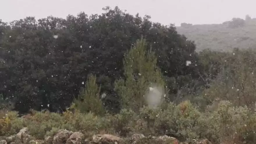 Nieva en Castell de Castells tras una gélida madrugada